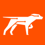 Scout