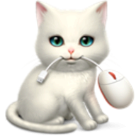 Shortcat