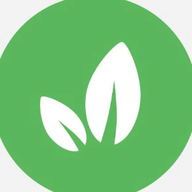 SkillMint