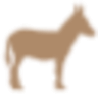 SongDonkey
