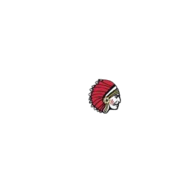 Spinner Chief