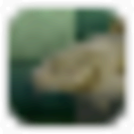 Stockfish