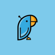 Surveys in Slack by Polly