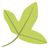 Tela Botanica logo