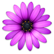Textmate