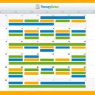 TherapyNotes