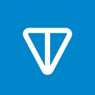 TON logo