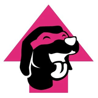 Uppy.io