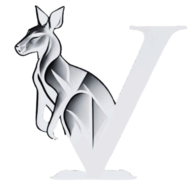 Valti.io logo