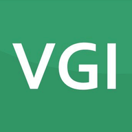 VG Insights logo