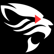 Video Jaguar
