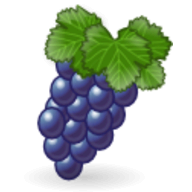 Vineyard