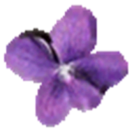 Violet UML Editor