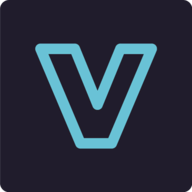 Visualizee.ai logo