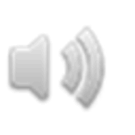 Volti