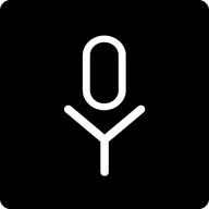 Voysis