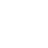 Wave Payroll