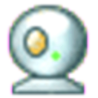webcam surveyor