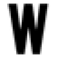 Websta