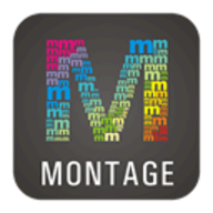 WidsMob Montage