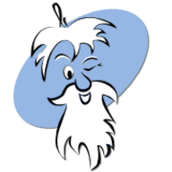 WISE-FTP logo