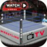 Wrestling Tv logo
