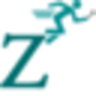 Zervicio